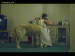 Housewife lifts her costume and gives the family pet access to her wet crack in this animal fetish movie scene 